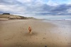 Beast gives beach another battering